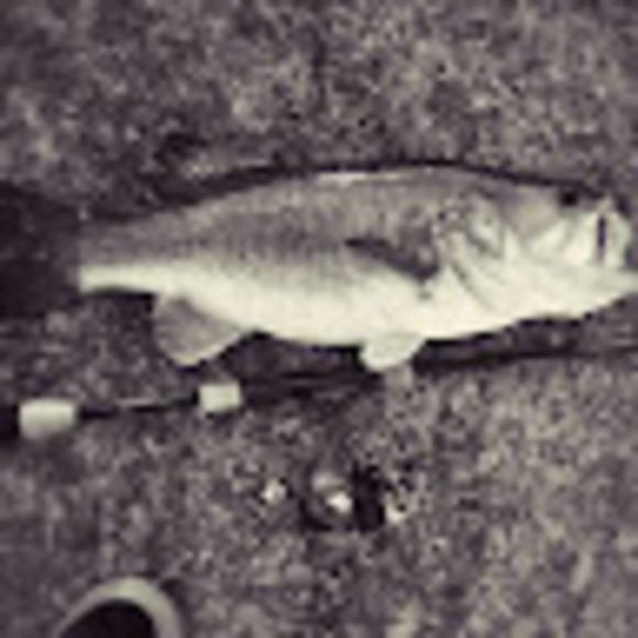 Meet your Posher, Dillon - Picture 1 of 1